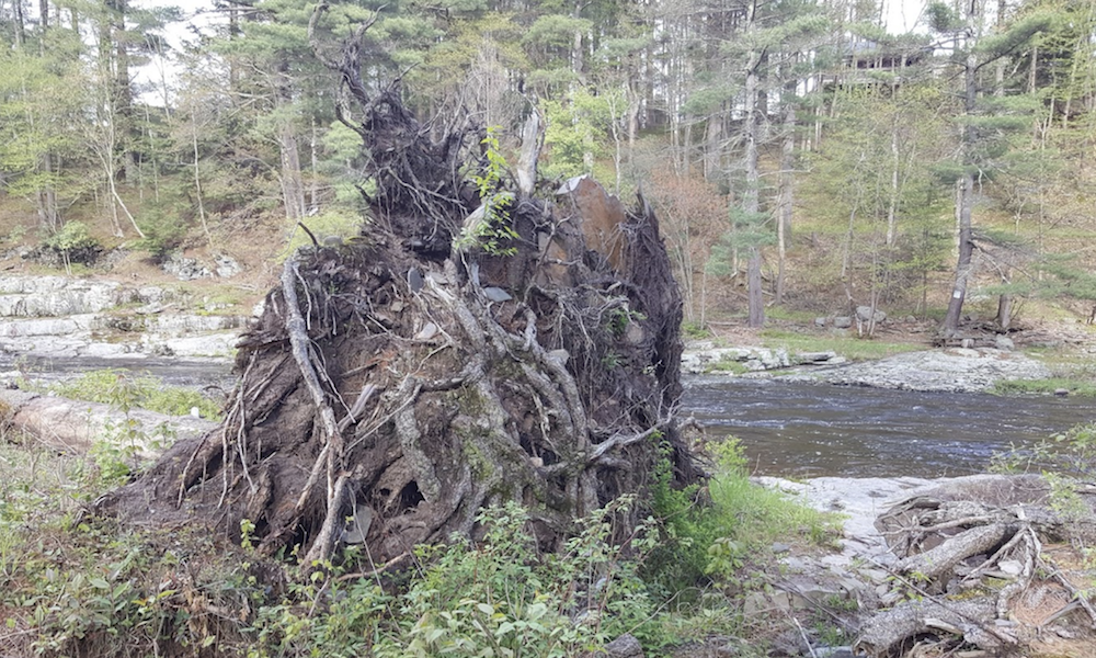 A plot of land next to Bear Creek, PA