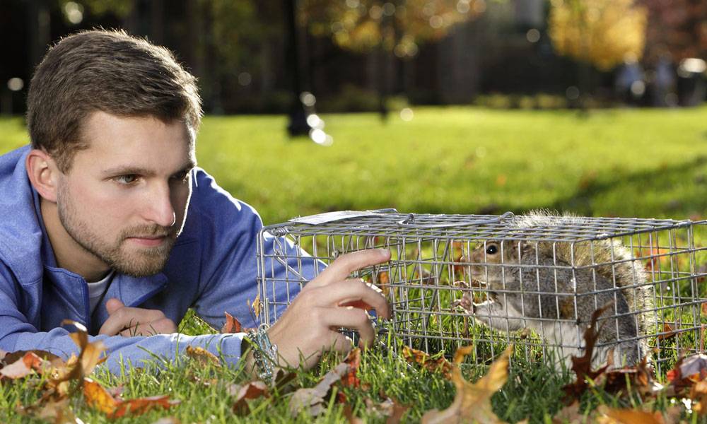 Student Andrew Kovalick observes a squirrel on Fenner Quadrangle