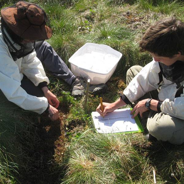 Wilkes student and faculty member performing field research