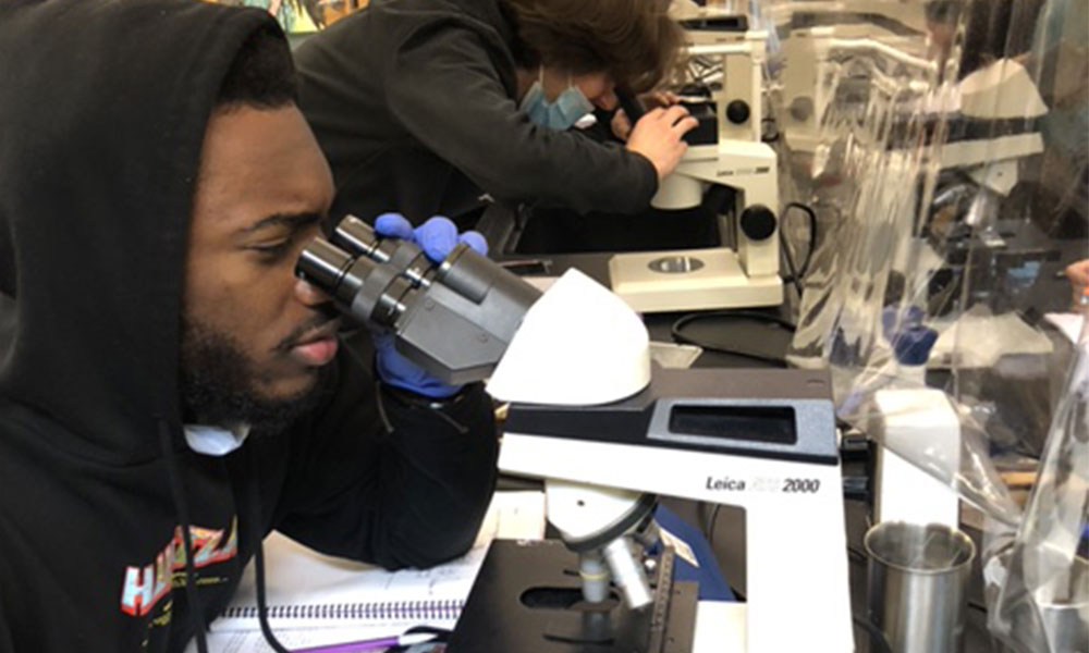 Wilkes students use Microscopy Facilities