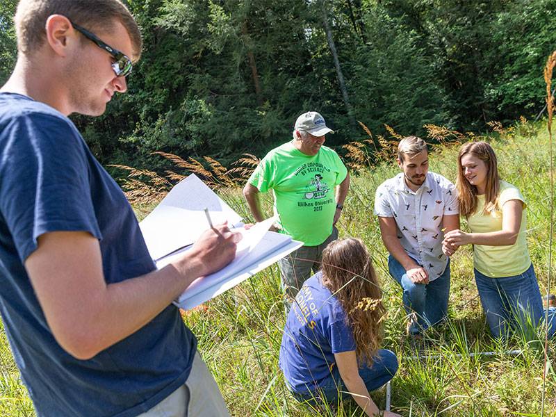 Students performing field research