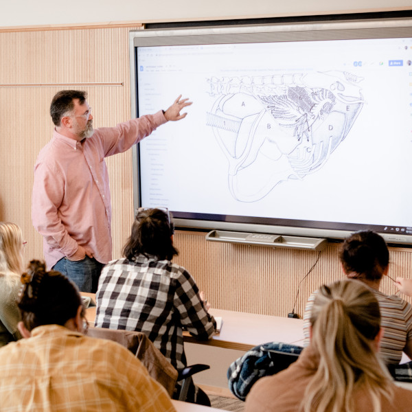 Wilkes University biology major and minor programs.