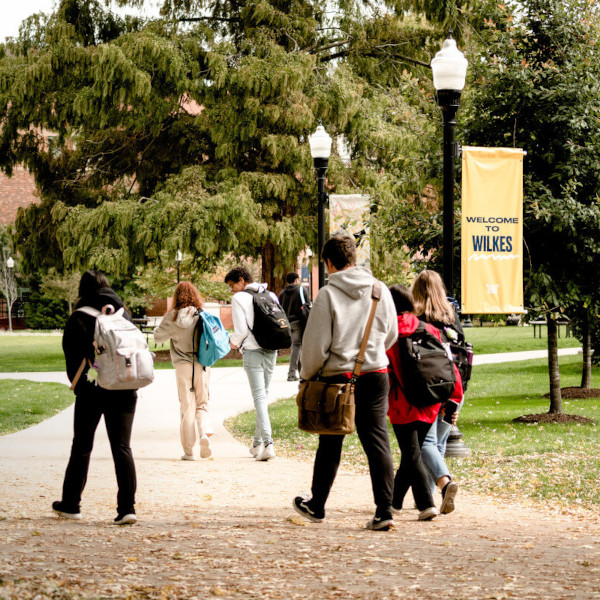 Wilkes University