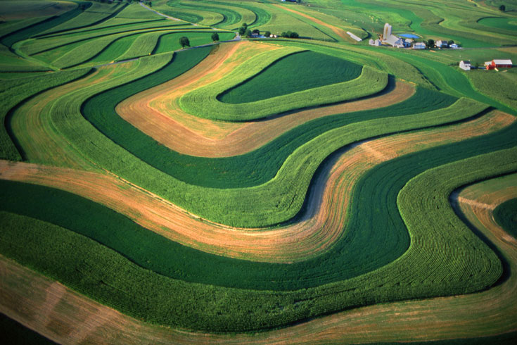 Contour Farming photo